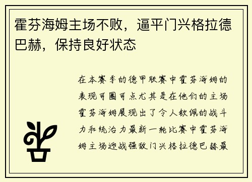 霍芬海姆主场不败，逼平门兴格拉德巴赫，保持良好状态